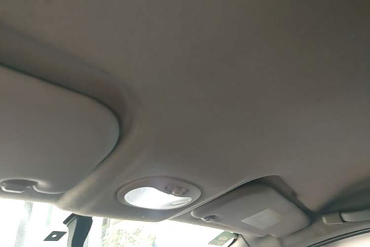 Used Chery QQ Little Ant 2019 4-Seater Smart Edition 35 kWh Headliner
