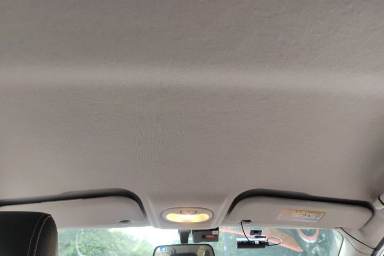 Used Chery QQ Little Ant 2019 4-Seater Smart Edition 35 kWh Headliner