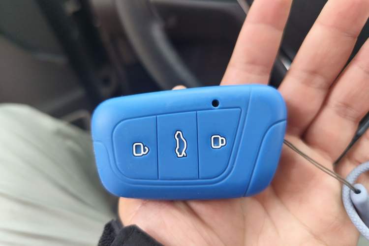 Used Chery QQ Little Ant 2019 4-Seater Smart Edition 35 kWh Vehicle Key