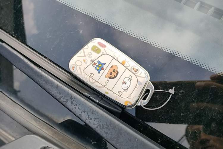 Used Chery QQ Little Ant 2019 4-Seater Smart Edition 35 kWh Vehicle Key