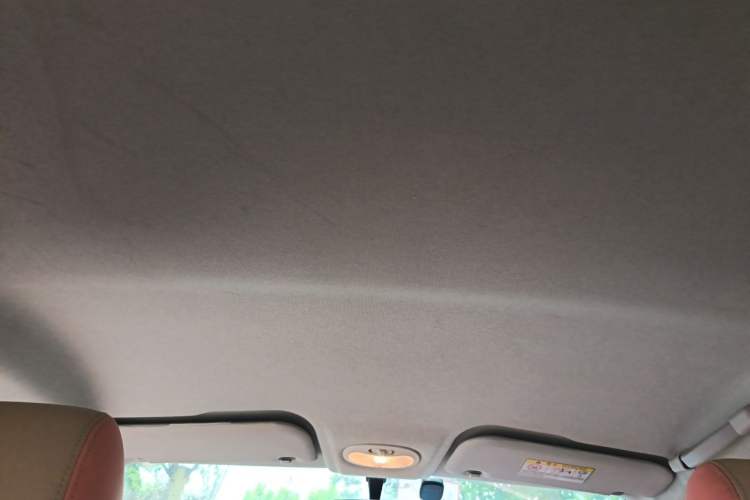 Used Chery QQ Little Ant 2019 4-Seater Smart Edition 35 kWh Headliner