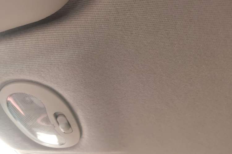 Used Chery QQ Little Ant 2019 4-Seater Smart Edition 35 kWh Headliner