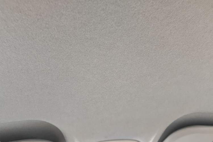 Used Chery QQ Little Ant 2019 4-Seater Smart Edition 35 kWh Headliner