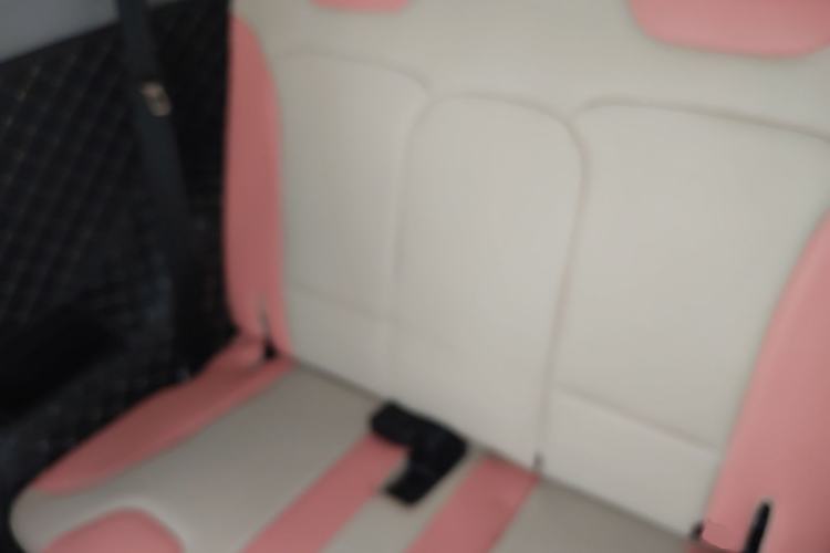 Used Chery QQ Little Ant 2019 4-Seater Smart Edition 35 kWh Left Rear Seat