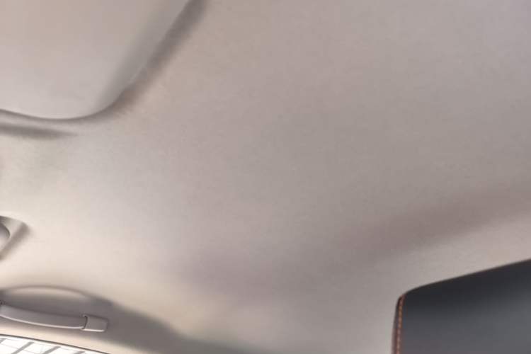 Used Chery QQ Little Ant 2019 4-Seater Smart Edition 30.6 kWh Headliner