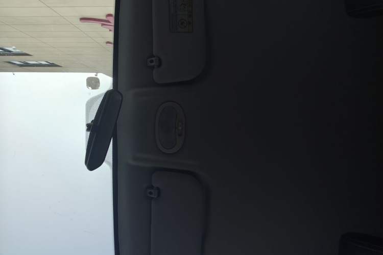 Used Chery QQ Little Ant 2019 4-Seater Smart Edition 35 kWh Headliner