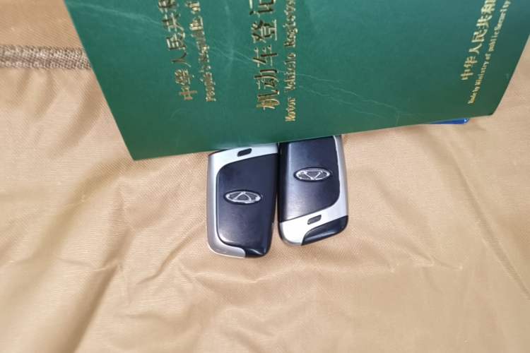 Used Chery QQ Little Ant 2019 4-Seater Smart Edition 35 kWh Vehicle Key