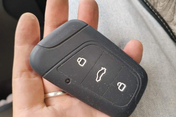 Used Chery QQ Little Ant 2019 4-Seater Smart Edition 35 kWh Vehicle Key