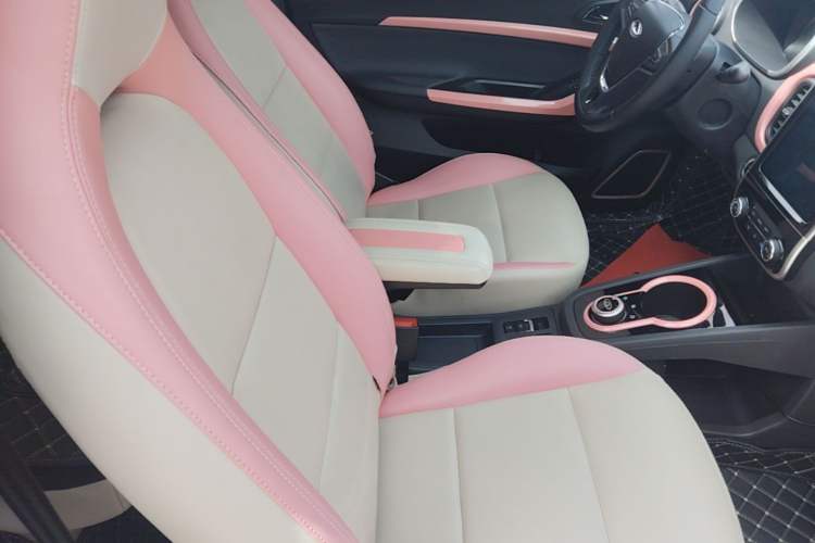 Used Chery QQ Little Ant 2019 4-Seater Smart Edition 35 kWh Right Front Seat