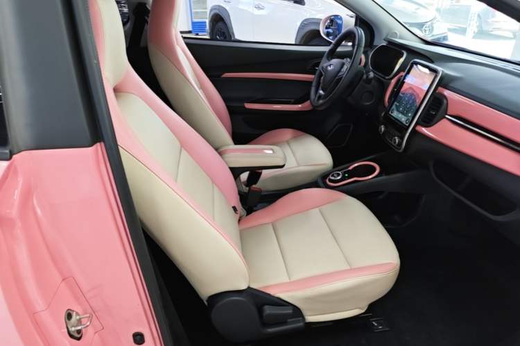Used Chery QQ Little Ant 2019 4-Seater Smart Edition 35 kWh Right Front Seat