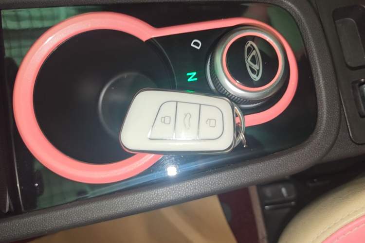 Used Chery QQ Little Ant 2019 4-Seater Smart Edition 35 kWh Vehicle Key