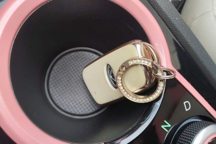 Used Chery QQ Little Ant 2019 4-Seater Smart Edition 35 kWh Vehicle Key