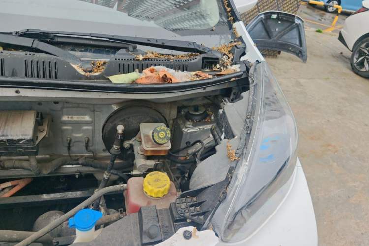 Used Chery QQ Little Ant 2019 4-Seater Smart Edition 35 kWh Engine Bay Left
