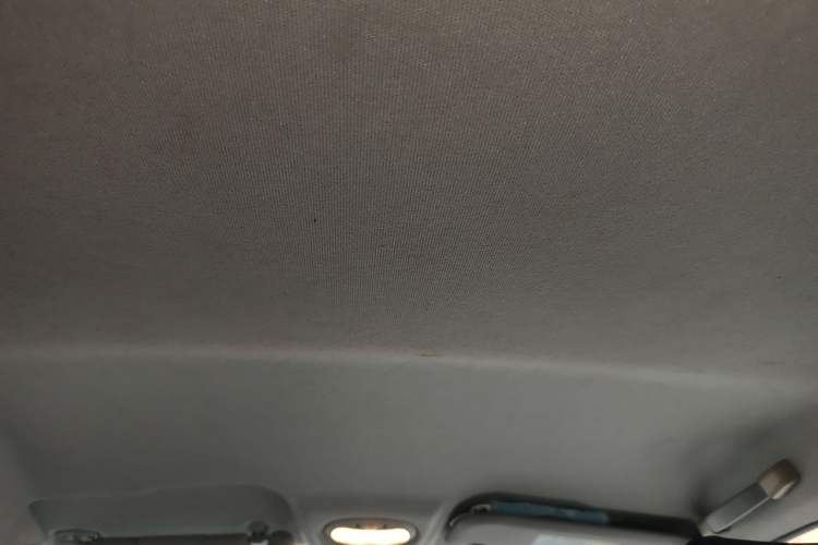 Used Chery QQ Little Ant 2019 4-Seater Smart Edition 35 kWh Headliner