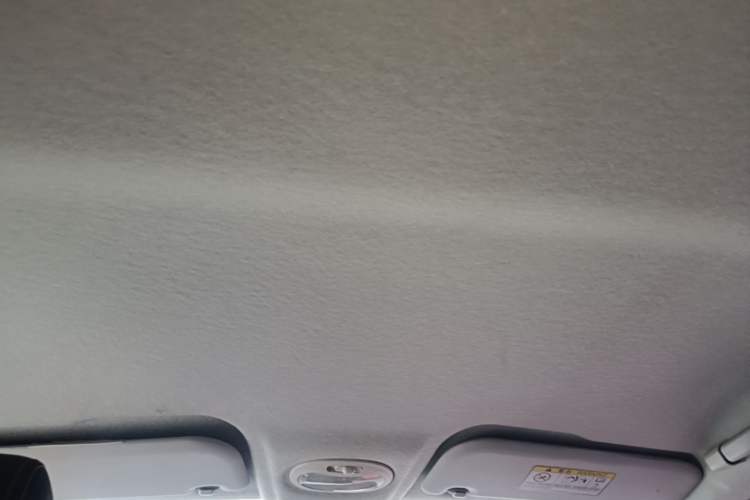 Used Chery QQ Little Ant 2019 4-Seater Smart Edition 35 kWh Headliner