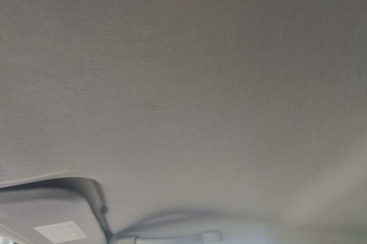 Used Chery QQ Little Ant 2019 4-Seater Smart Edition 35 kWh Headliner