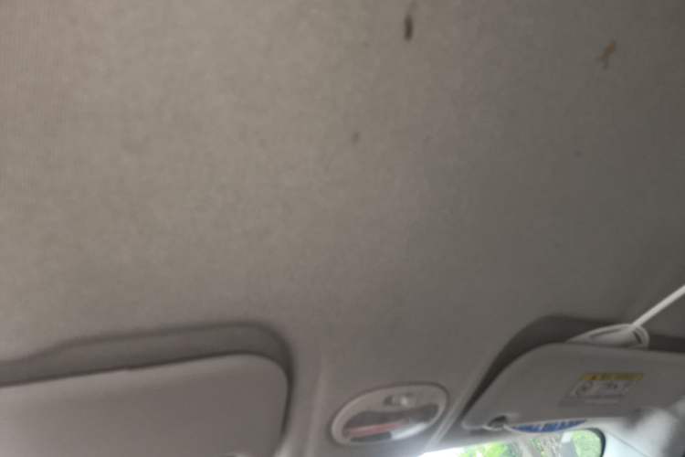 Used Chery QQ Little Ant 2019 4-Seater Smart Edition 35 kWh Headliner