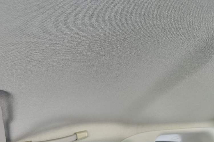 Used Chery QQ Little Ant 2019 4-Seater Smart Edition 35 kWh Headliner