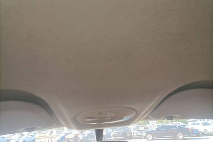 Used Chery QQ Little Ant 2019 4-Seater Smart Edition 30.6 kWh Headliner
