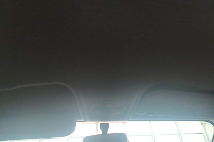 Used Chery QQ Little Ant 2019 4-Seater Smart Edition 30.6 kWh Headliner