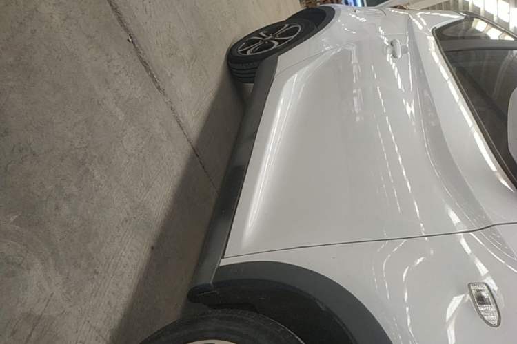 Used Chery QQ Little Ant 2019 4-Seater Smart Edition 30.6 kWh Right Side Sill
