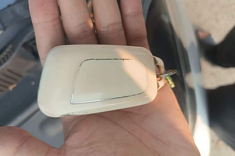 Used Chery QQ Little Ant 2019 4-Seater Smart Edition 35 kWh Vehicle Key