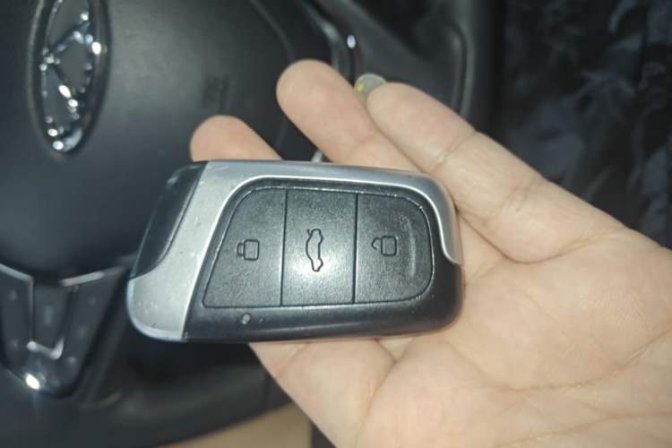 Used Chery QQ Little Ant 2019 4-Seater Smart Edition 35 kWh Vehicle Key