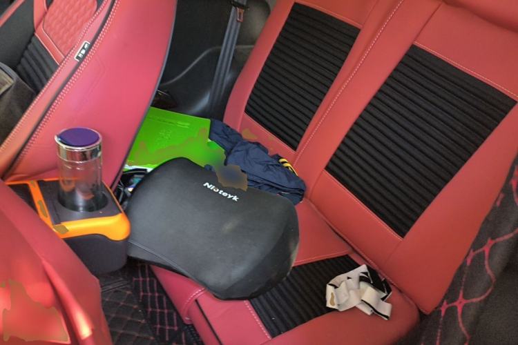 Used Chery QQ Little Ant 2019 4-Seater Smart Edition 35 kWh Left Rear Seat