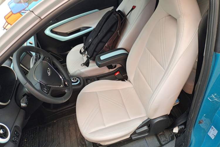 Used Chery QQ Little Ant 2021 200 000-Yuan Ant Fan Edition Talent Version Lithium Iron Phosphate 301 km Left Front Seat