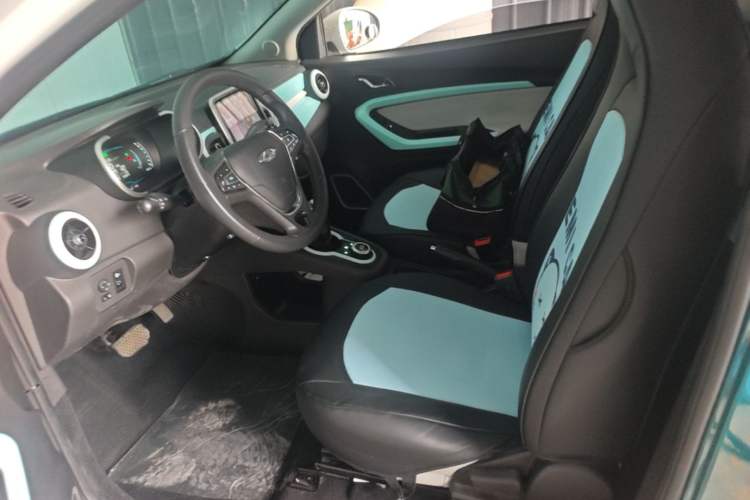 Used Chery QQ Little Ant 2021 200 000-Yuan Ant Fan Edition Talent Version NMC Battery 301 km Left Front Seat