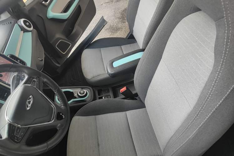 Used Chery QQ Little Ant 2021 150 000 Yuan "Ant Fan" Edition New Ant Cool Version Lithium-Ion Battery Left Front Seat