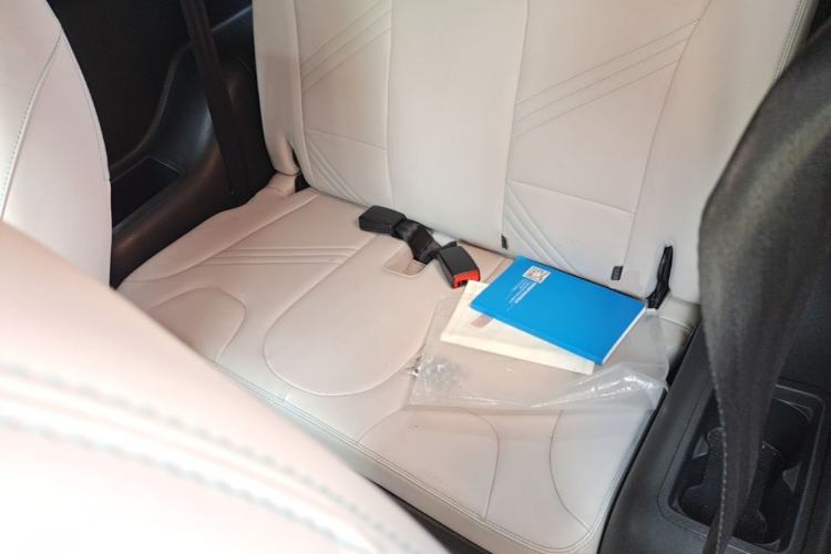 Used Chery QQ Little Ant 2021 200 000-Yuan Ant Fan Edition Talent Version Lithium Iron Phosphate 301 km Left Rear Seat