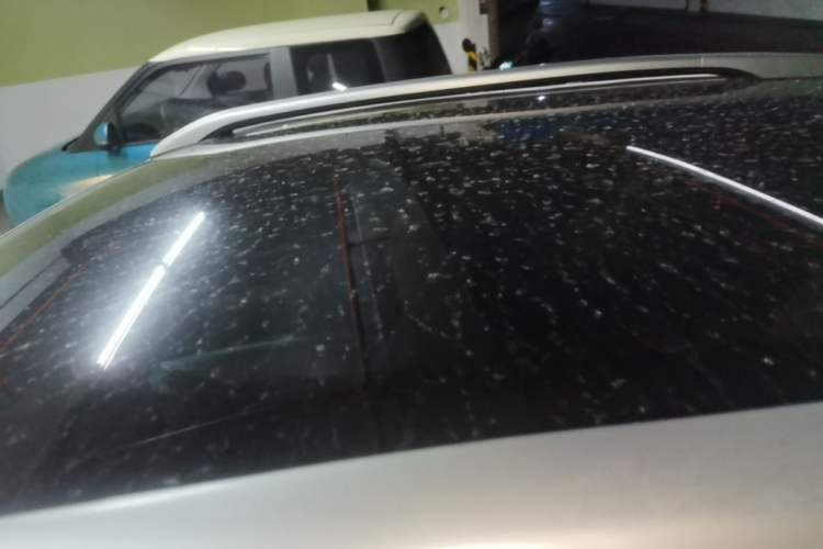 Used Chery QQ Little Ant 2021 200 000 Yuan "Ant Fan" Edition Energized Version NMC Lithium Battery 301 km Roof