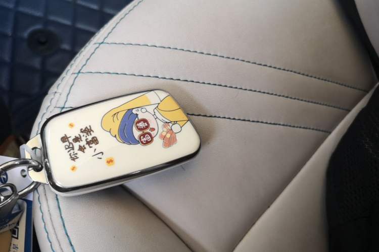 Used Chery QQ Little Ant 2021 150 000 Yuan "Ant Fan" Edition New Ant Cool Version Lithium-Ion Battery Vehicle Key