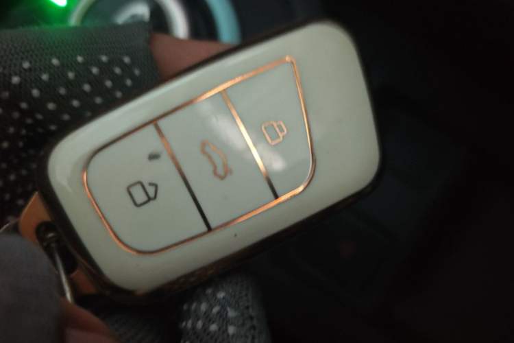 Used Chery QQ Little Ant 2021 200 000-Yuan Ant Fan Edition Talent Version NMC Battery 301 km Vehicle Key