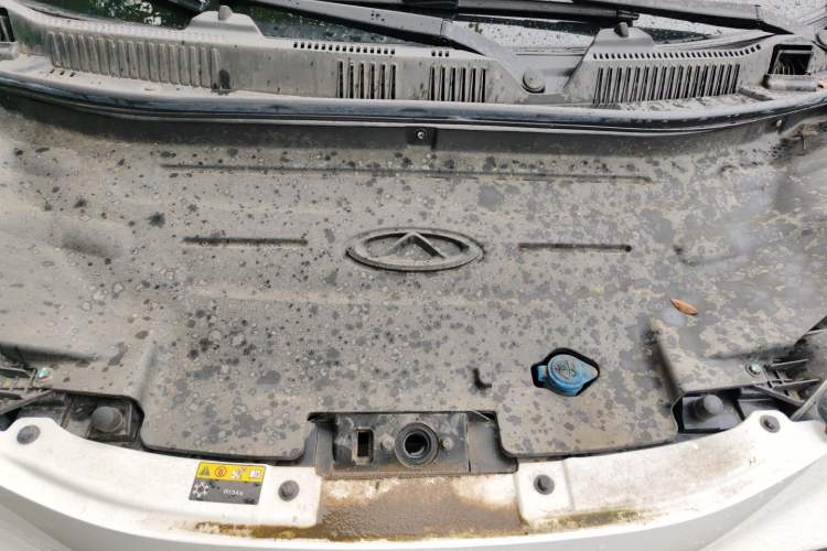Used Chery QQ Little Ant 2021 150 000 Yuan Ant Fan Edition Ant Trend Version Lithium Iron Phosphate Engine Bay