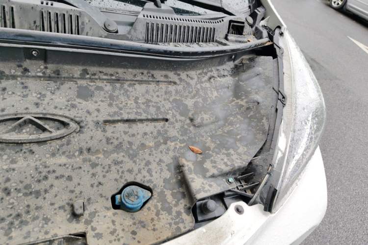 Used Chery QQ Little Ant 2021 150 000 Yuan Ant Fan Edition Ant Trend Version Lithium Iron Phosphate Engine Bay Left