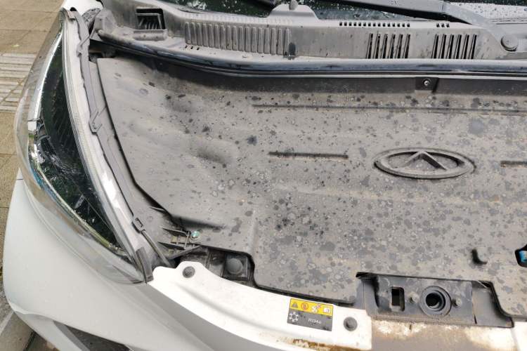 Used Chery QQ Little Ant 2021 150 000 Yuan Ant Fan Edition Ant Trend Version Lithium Iron Phosphate Engine Bay Right