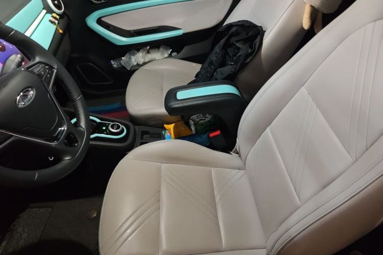 Used Chery QQ Little Ant 2021 200 000-Yuan Ant Fan Edition Talent Version NMC Battery 408 km续航 Left Front Seat