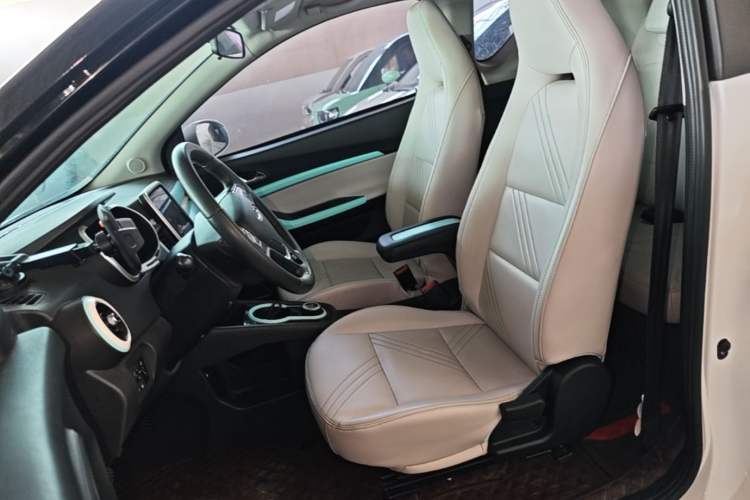 Used Chery QQ Little Ant 2021 200 000-Yuan Ant Fan Edition Oxygen Version Lithium Iron Phosphate 301 km Left Front Seat