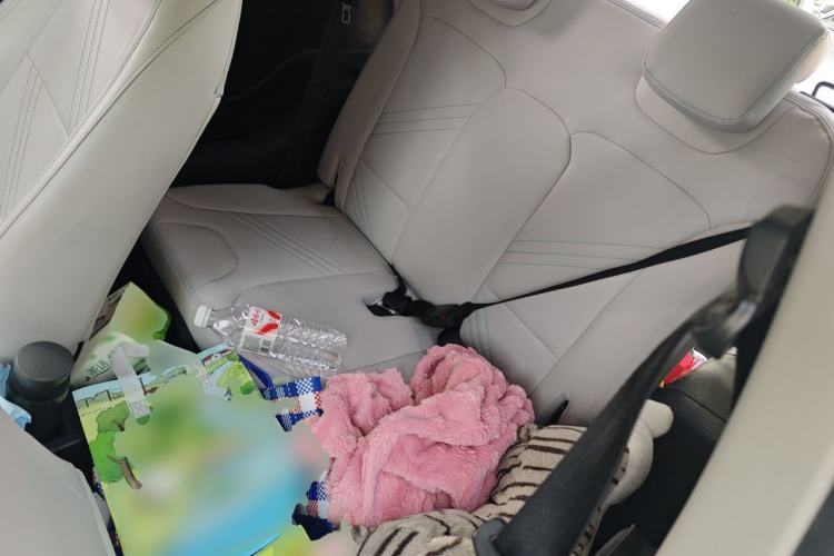 Used Chery QQ Little Ant 2021 200 000-Yuan Ant Fan Edition Talent Version NMC Battery 301 km Left Rear Seat