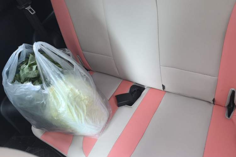 Used Chery QQ Little Ant 2021 200 000-Yuan Ant Fan Edition Talent Version NMC Battery 408 km续航 Left Rear Seat