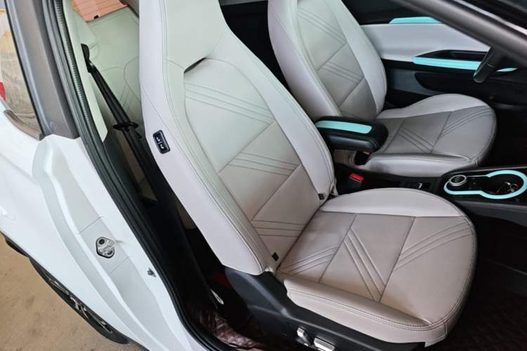 Used Chery QQ Little Ant 2021 200 000-Yuan Ant Fan Edition Oxygen Version Lithium Iron Phosphate 301 km Right Front Seat