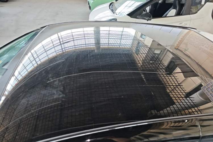 Used Chery QQ Little Ant 2021 200 000-Yuan Ant Fan Edition Oxygen Version Lithium Iron Phosphate 301 km Roof