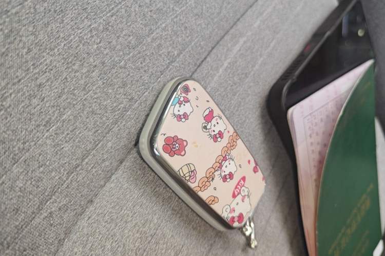Used Chery QQ Little Ant 2021 150 000 Yuan Ant Fan Edition Ant Trend Version Lithium Iron Phosphate Vehicle Key