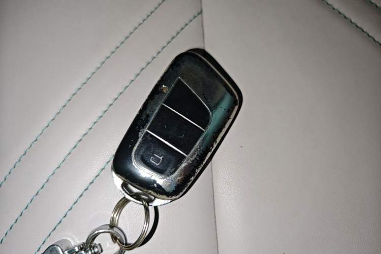 Used Chery QQ Little Ant 2021 200 000-Yuan Ant Fan Edition Oxygen Version Lithium Iron Phosphate 301 km Vehicle Key