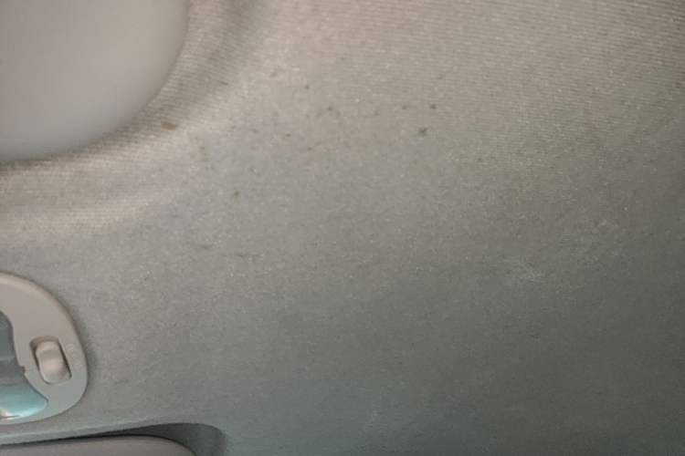 Used Chery QQ Little Ant 2021 150 000 Yuan Ant Fan Edition Ant Trend Version Lithium Iron Phosphate Headliner