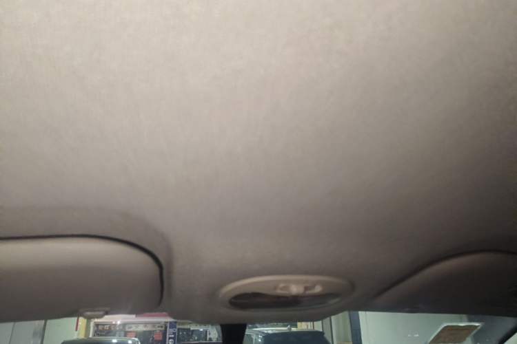 Used Chery QQ Little Ant 2021 150 000 Yuan "Ant Fan" Edition New Ant Cool Version Lithium-Ion Battery Headliner