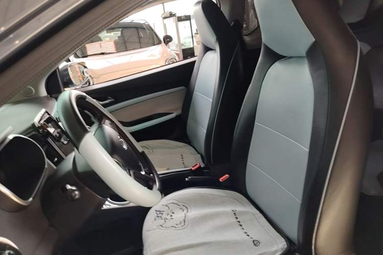 Used Chery QQ Little Ant 2021 150 000 Yuan Ant Fan Edition Ant Cool Version Lithium Iron Phosphate Left Front Seat