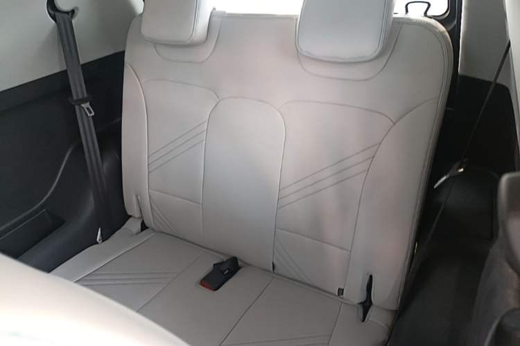 Used Chery QQ Little Ant 2021 200 000-Yuan Ant Fan Edition Talent Version NMC Battery 301 km Left Rear Seat